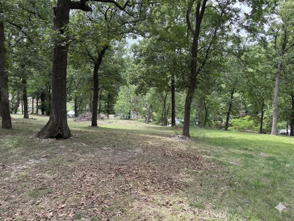 Image 4: 2