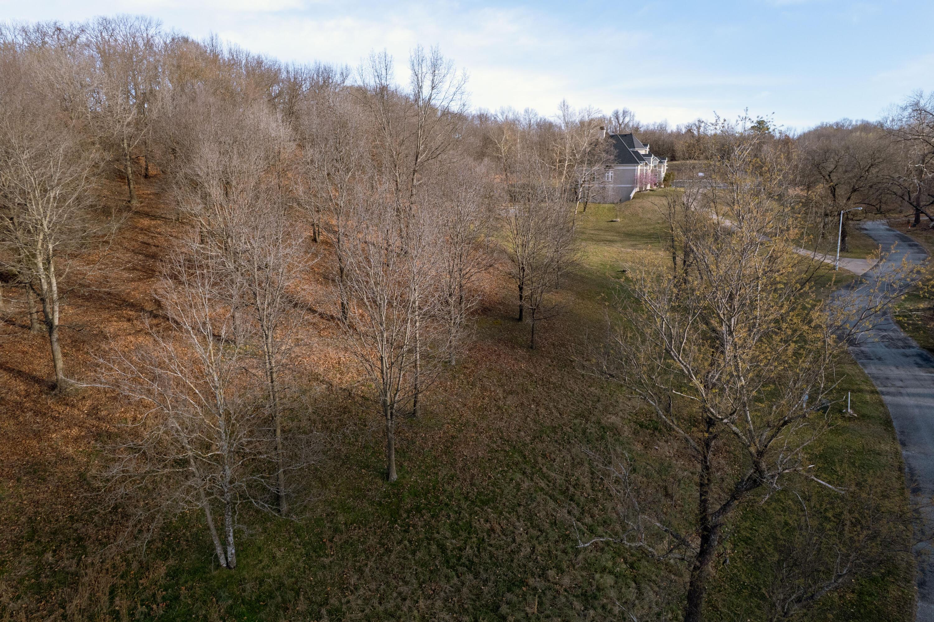 Image 4: Grove_3-15