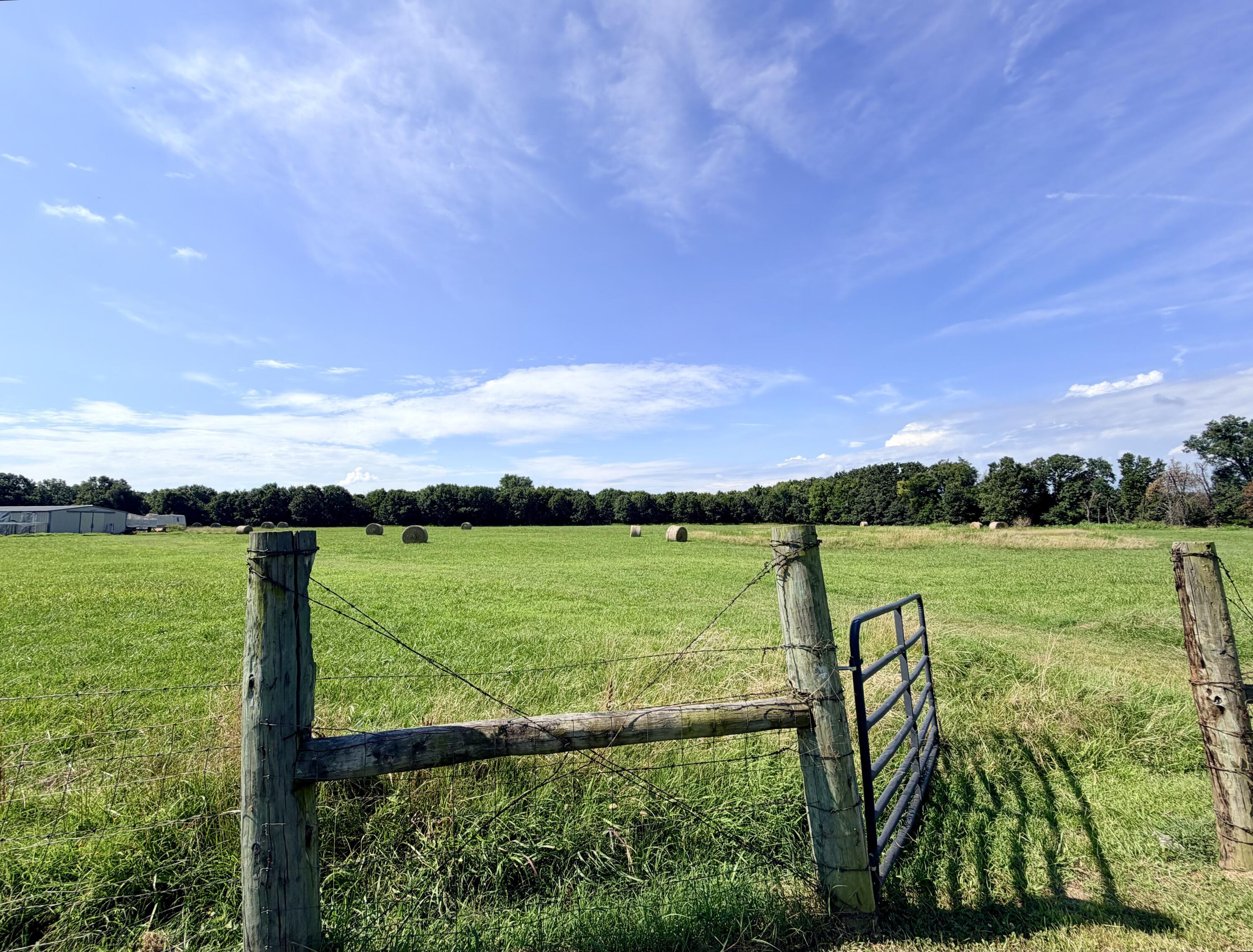Image 3: IMG_0988