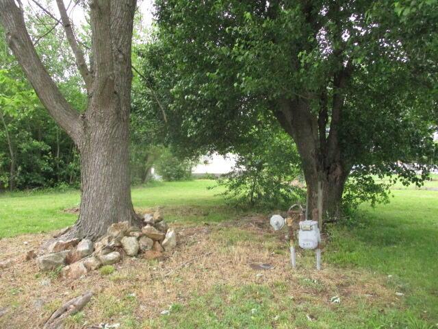Image 3: IMG_0028