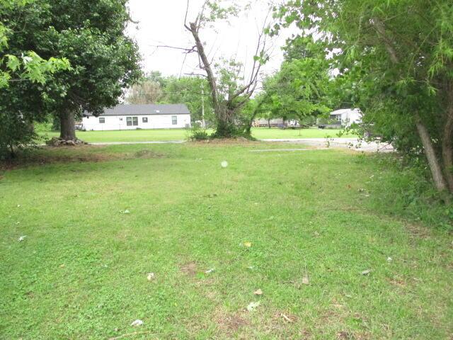 Image 4: IMG_0030