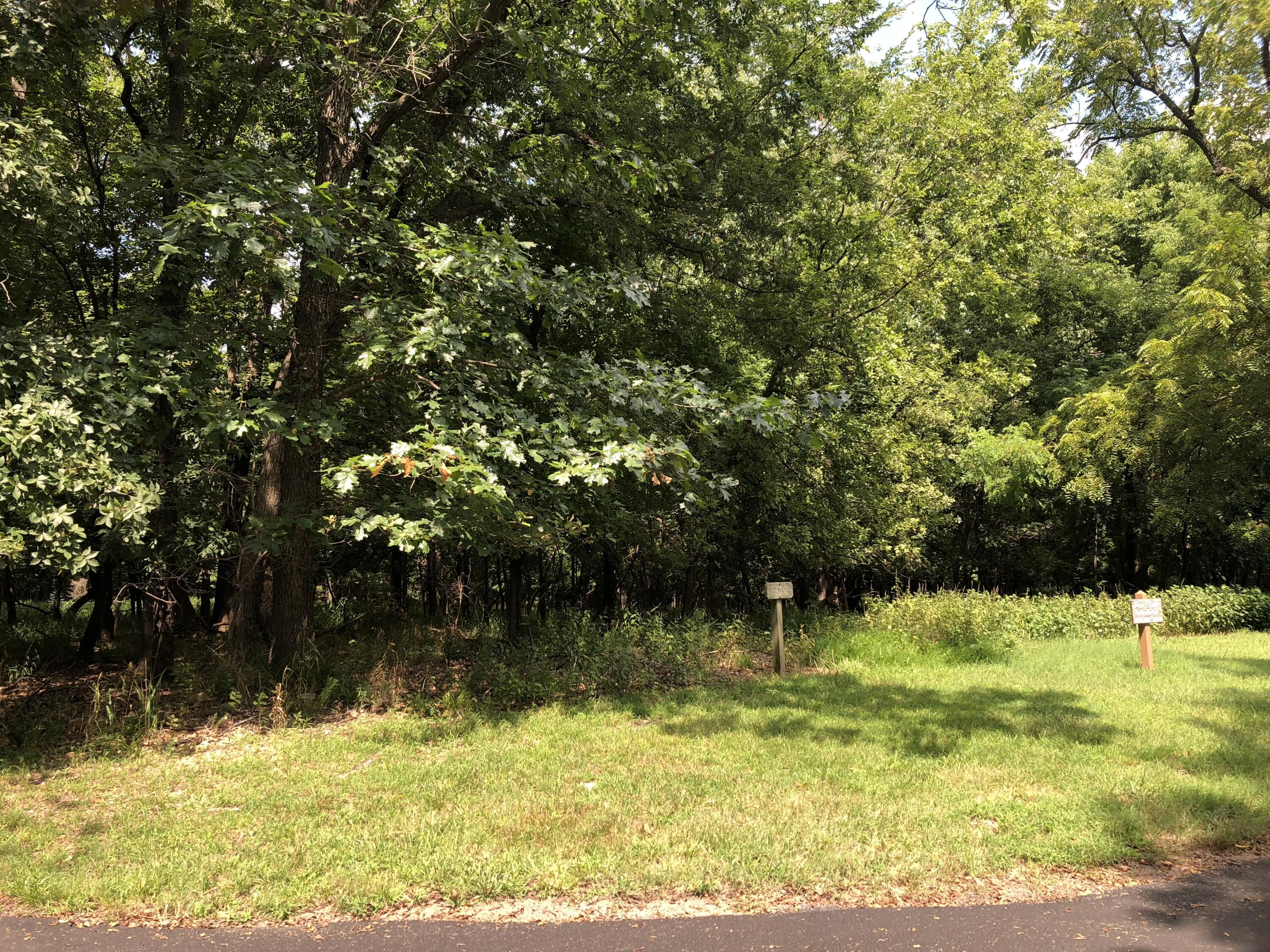 Image 1: Lot