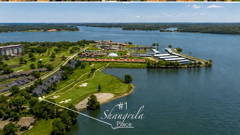 Image 1: Aerial View 1X