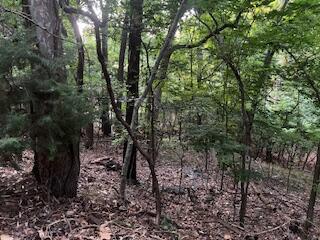 Lots 15&16 Vinita Circle