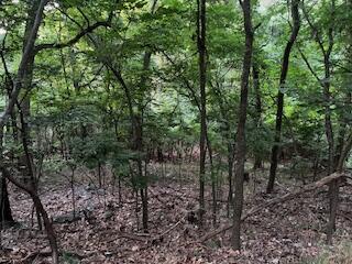 Image 2: IMG_8446