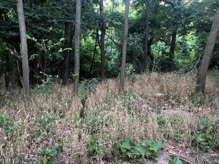 Image 4: IMG_8451