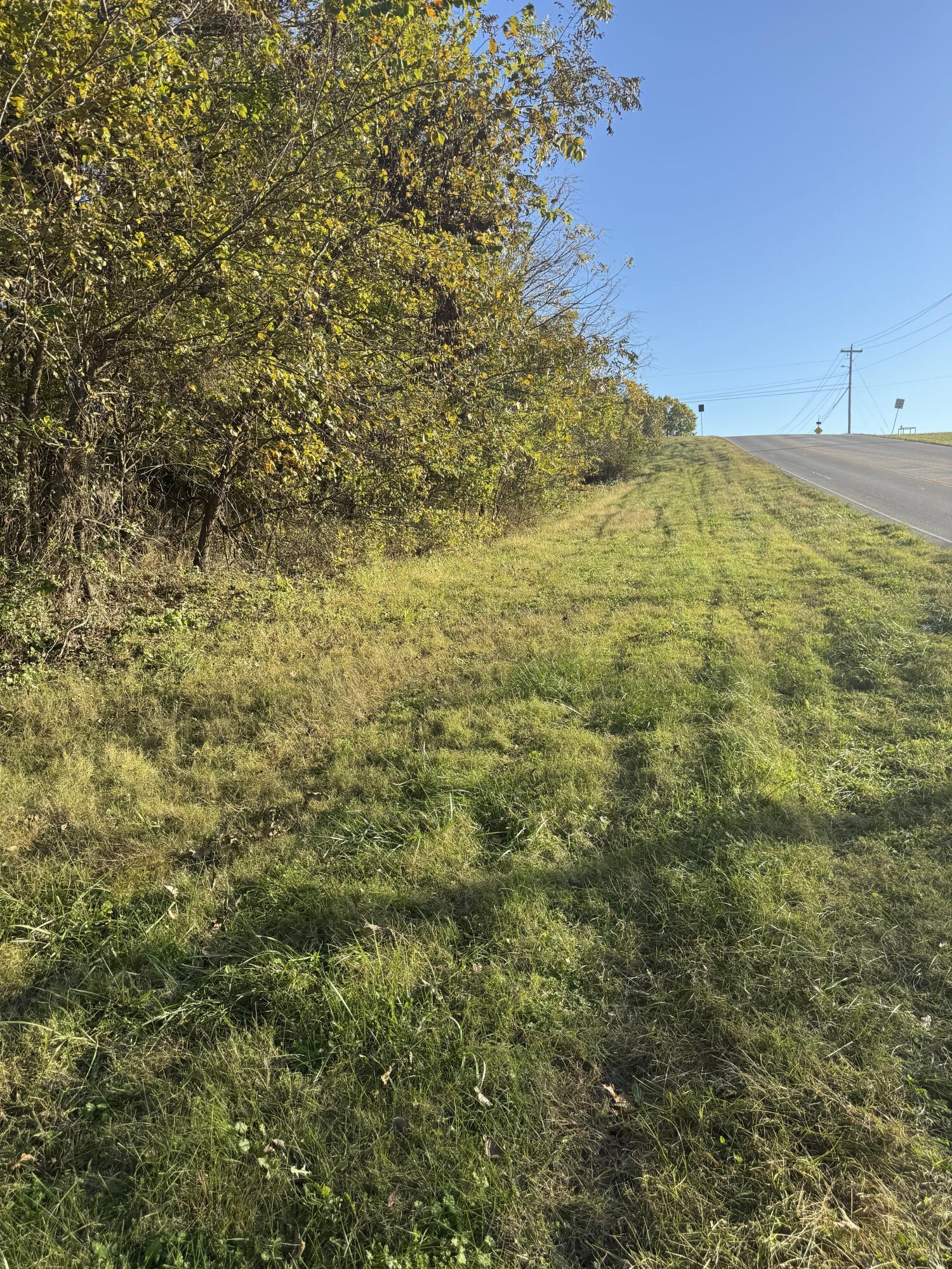 Image 2: IMG_3330