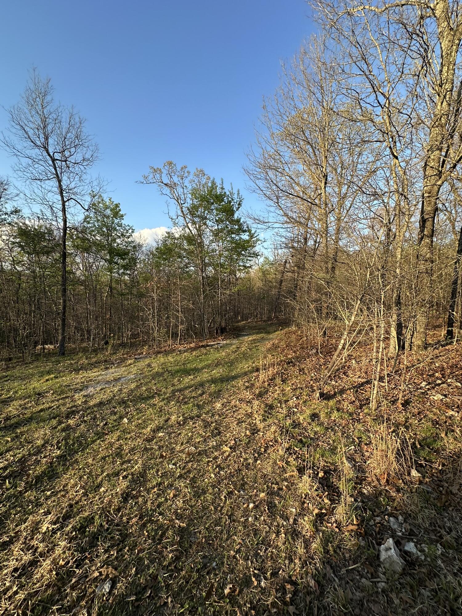 Image 3: IMG_6847
