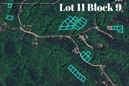 Lot 11 Block 9 (Piney Woods) E 332 Loop