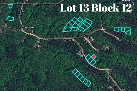 Lot 13 Block 12 (Piney Woods)S 576 Road