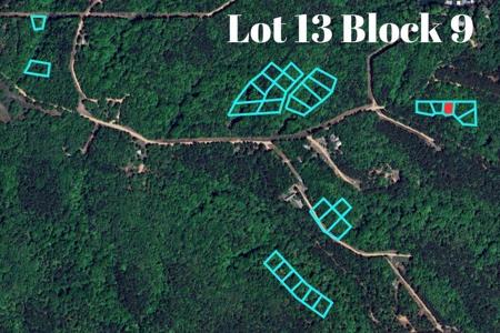 Lot 13 Block 9 (Piney Woods) E 330 Loop