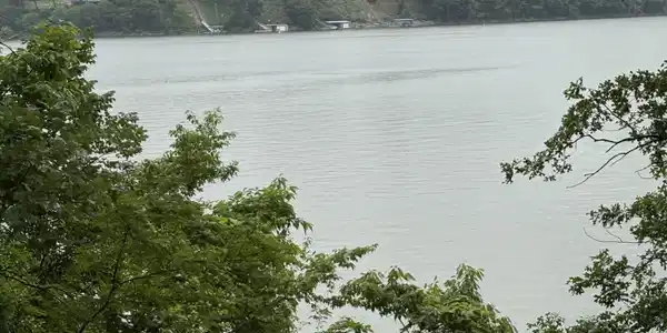 Image 4: water view