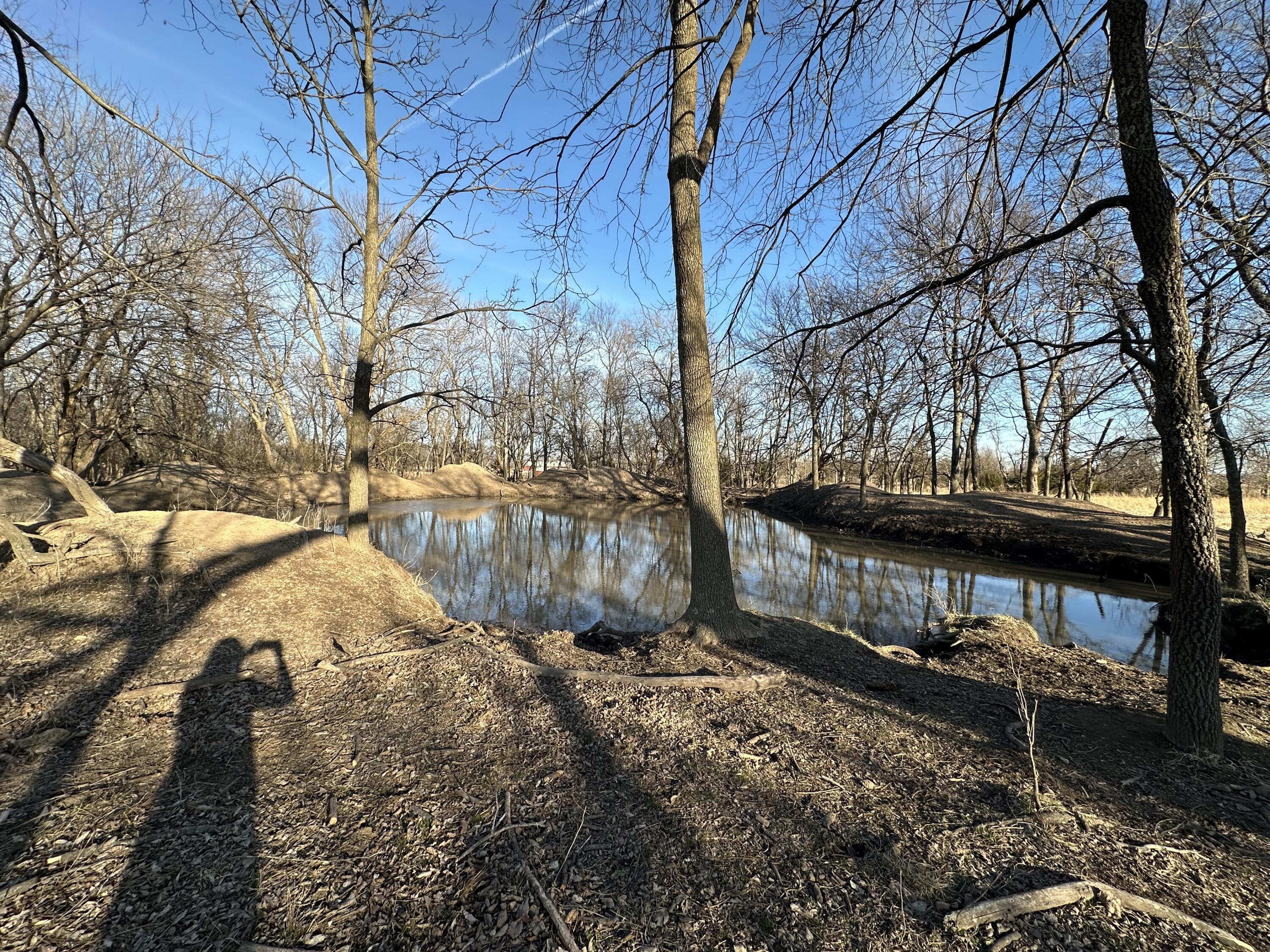 Image 3: Pond