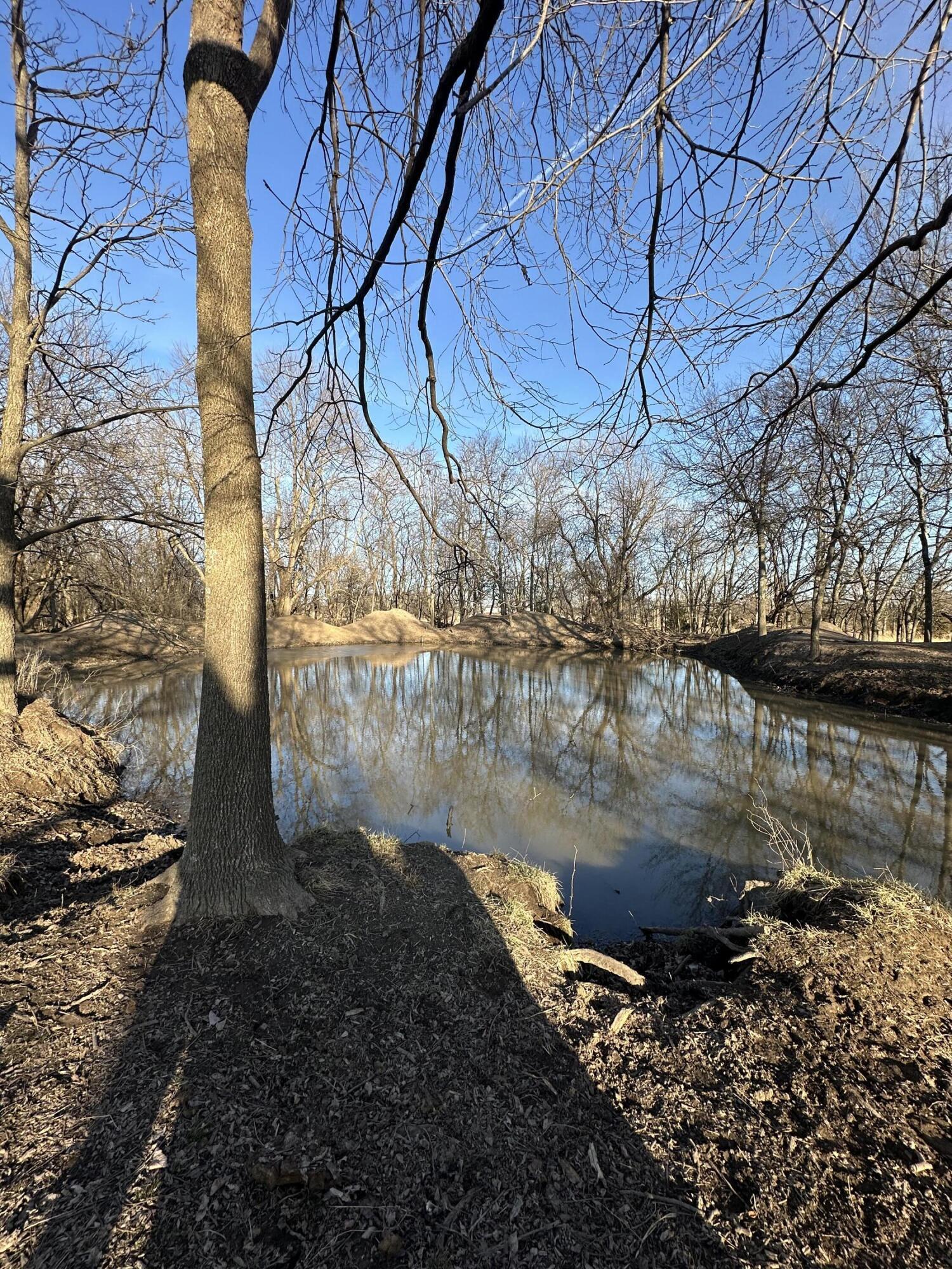 Image 4: Pond