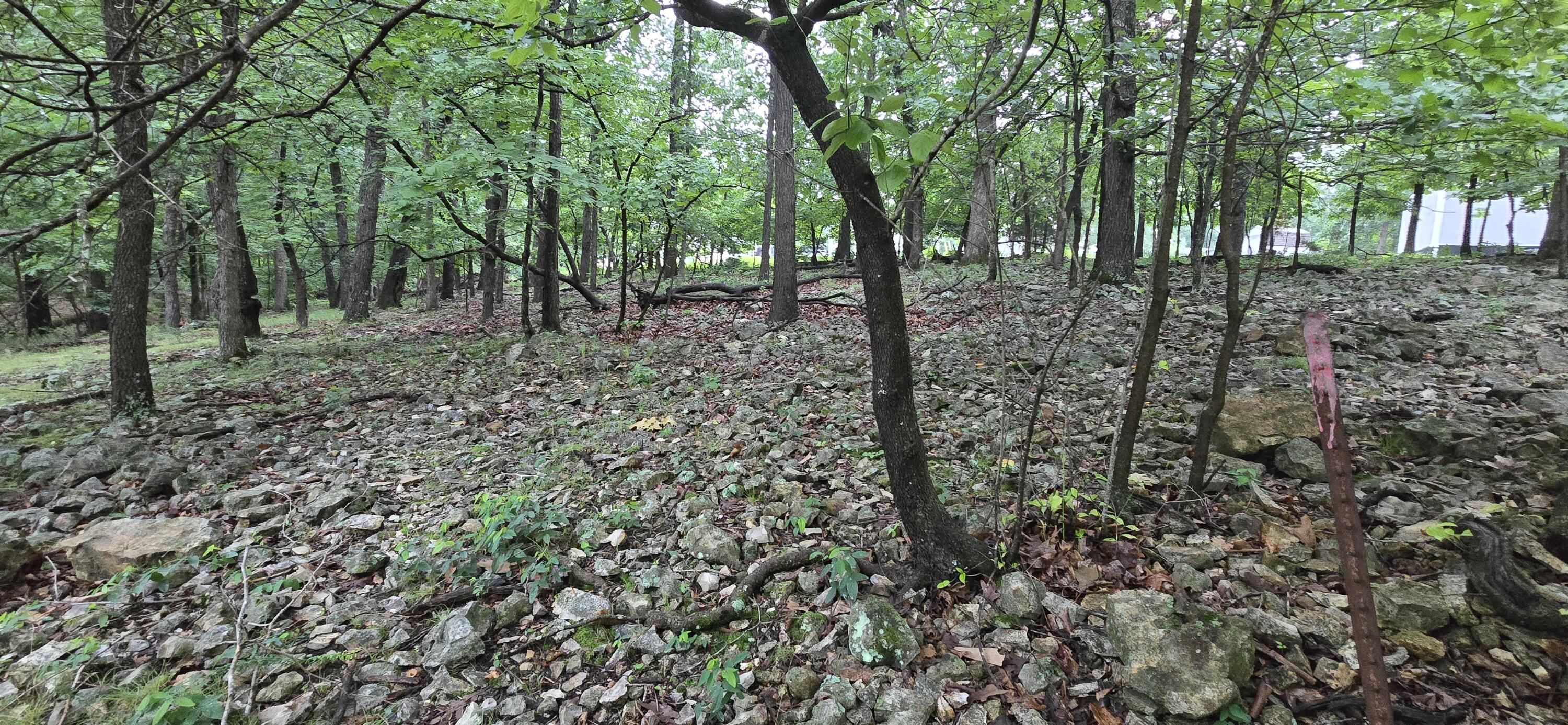 Image 4: SE looking NW (1)