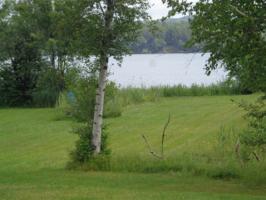 00 Willow