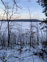 173 Basswood