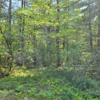 York