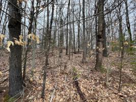 Map 36 Lot 72 A Varney