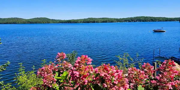 7 Lake Shore