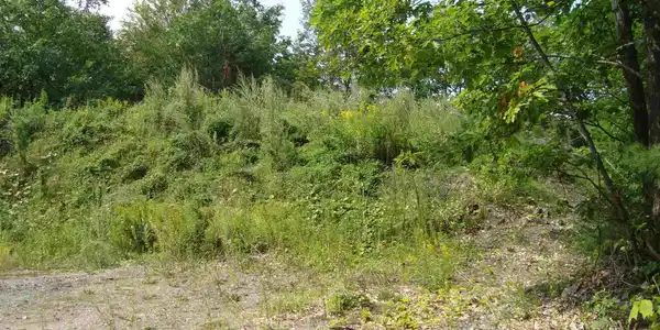 103B
