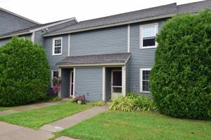 17 Conifer