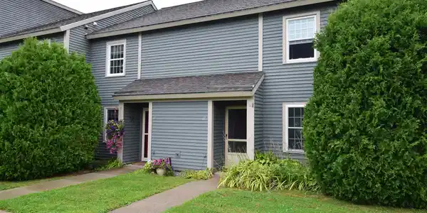 17 Conifer