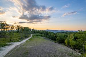 Lot 4 Mount Prospect