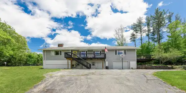 25 Pine Tree