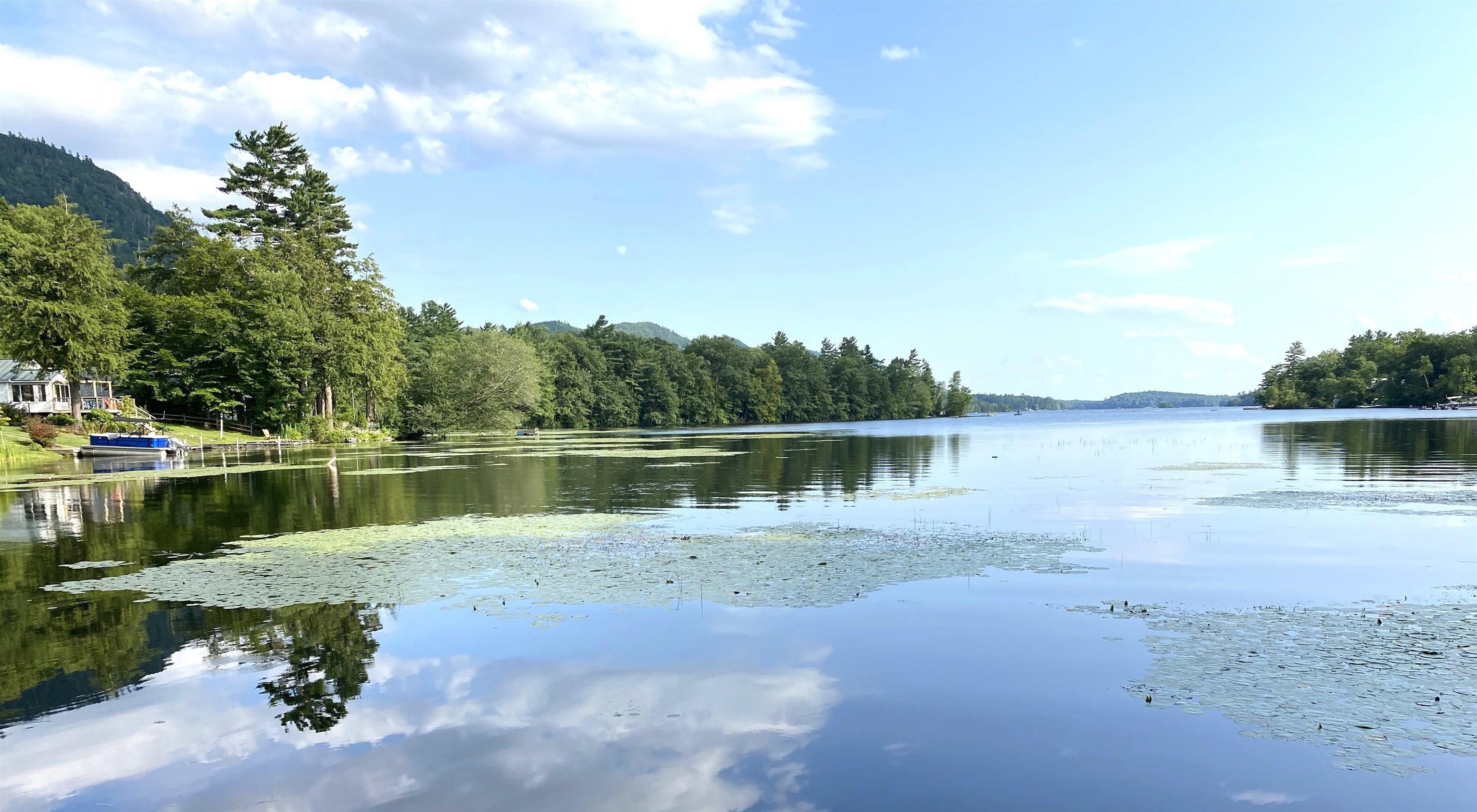 Image 1: Lake Dunmore Access Offers A Peek Of Mount Moosalamoo