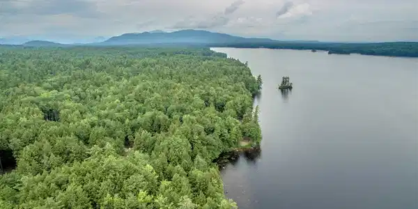Lot 5 Cove