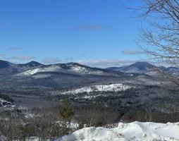 8 Presidential View