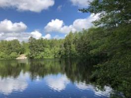 TBD Loon Cove/ Russell