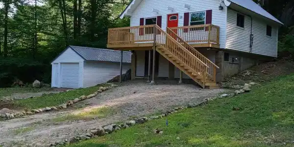 21 Birch Tree