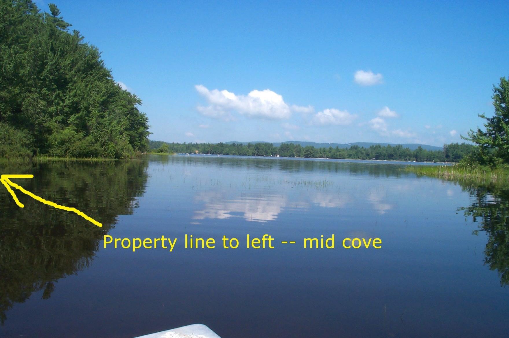 Image 4 Image 4