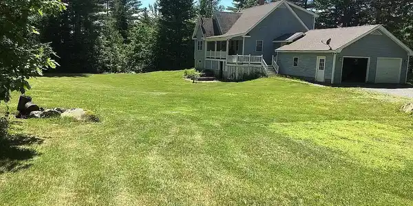 20 Fawn