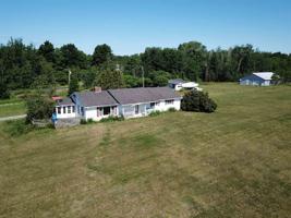 98 Island Meadows