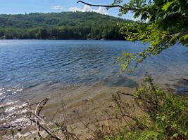 1155 Goose Pond
