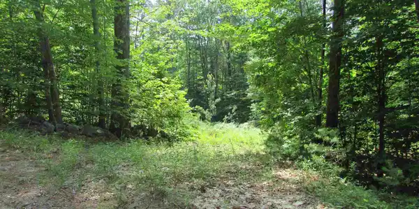 Acton Ridge