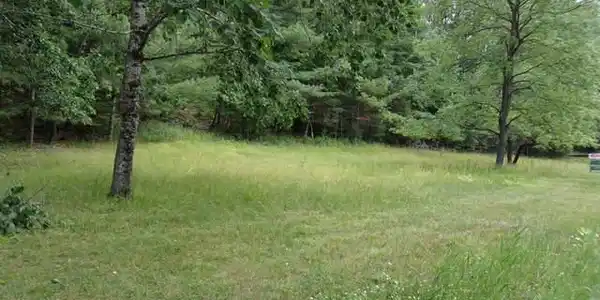 Mountain Meadows
