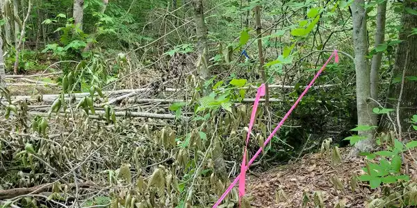 00 Kennedy Brook