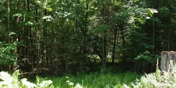 Deerfield