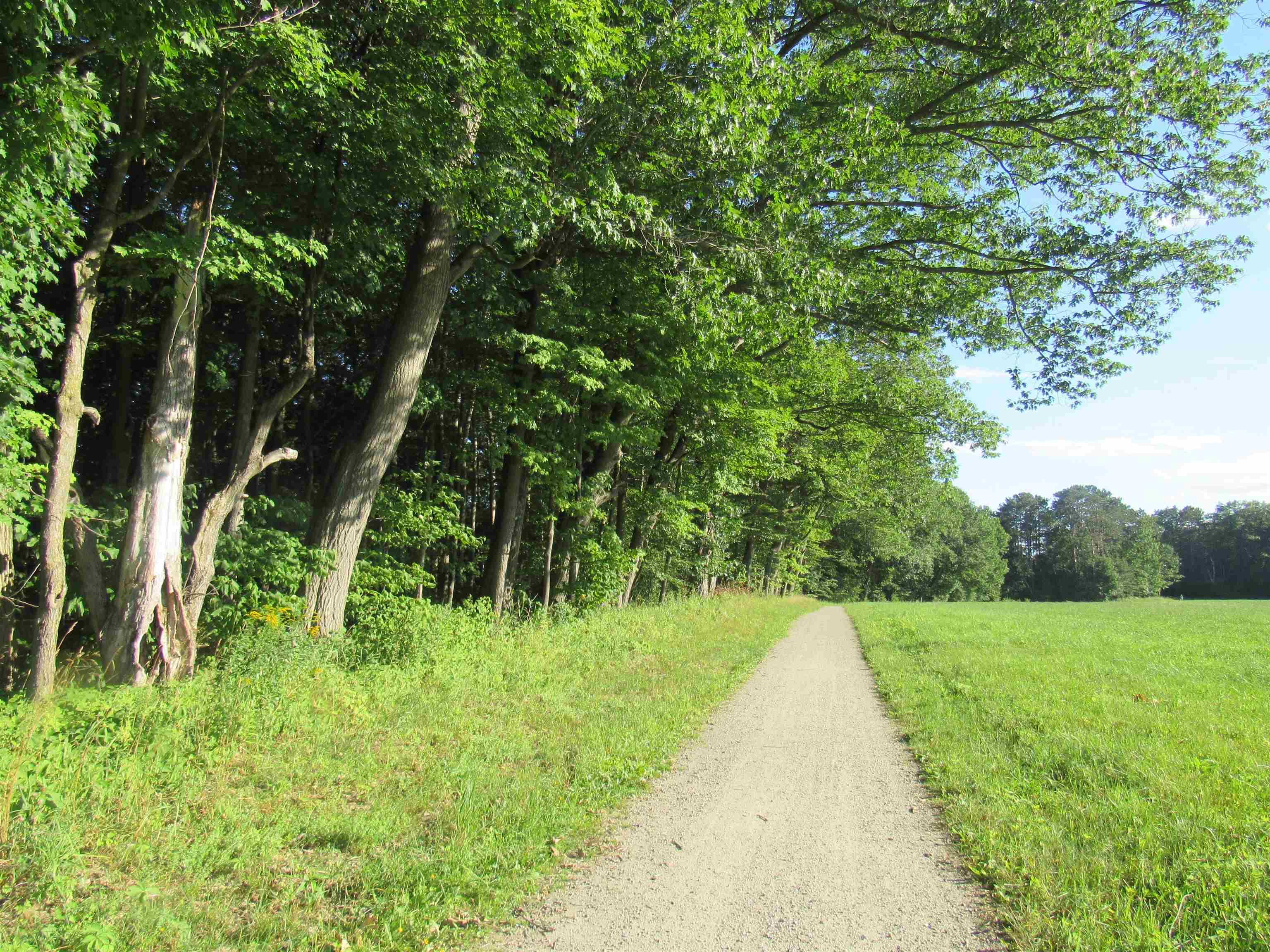 Image 3: Near 96 Stagecoach Drive is the Buffs Trail System
