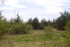 Lot B Sand