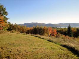 Lot 2 Panorama