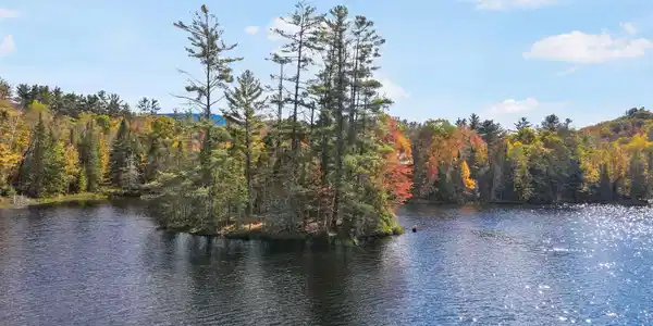 Island-Mt Lake