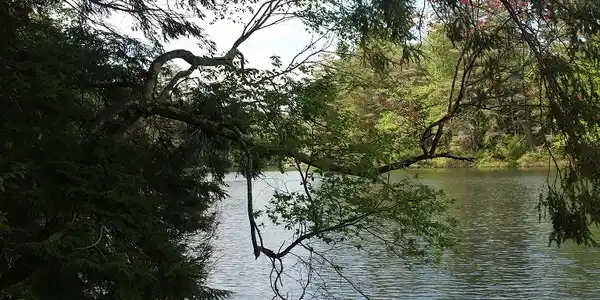 000 Partridge Lake