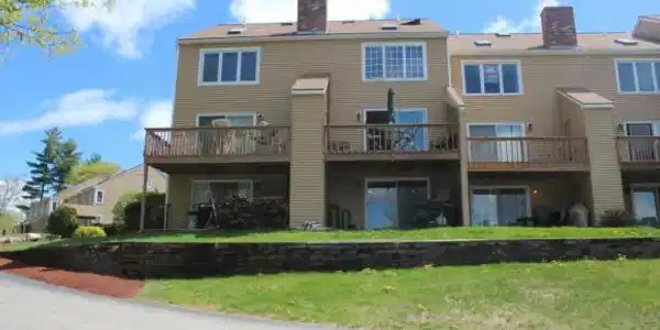 50 Patch Pond