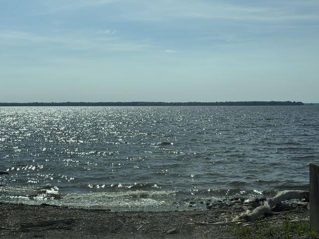 Image 2 Image 2