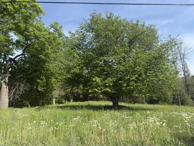 Image 3 Image 3